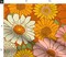 Retro 1970S Floral Vintage Style Nostalgia Pink Orange Yellow Bohemian Retro Groovy Flowers Vintage Mod Flower Power Large Scale Custom Printed Fabric by Spoonflower Various Fabrics by the Yard or Fat Quarter